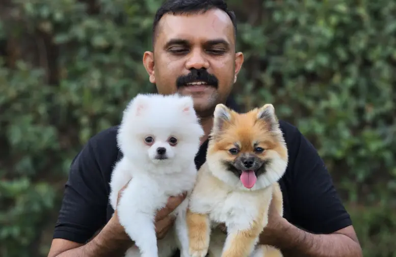 holding two puppies 